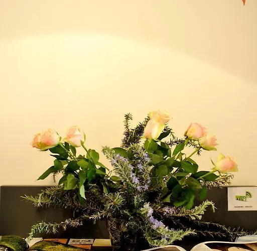 Guest house Stop & Sleep 3*